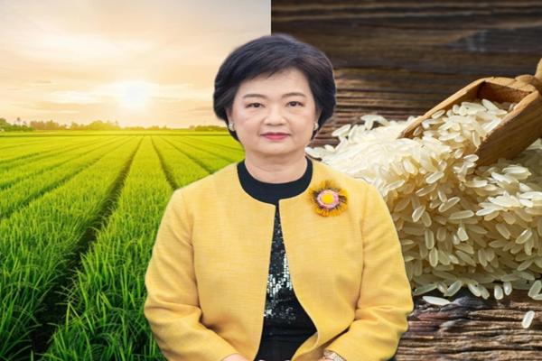 ข้าวคุณภาพสูง