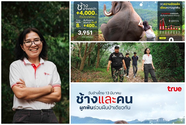 วันช้างไทย13มีนาคม